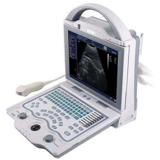 Cattle Scanner KX5600V